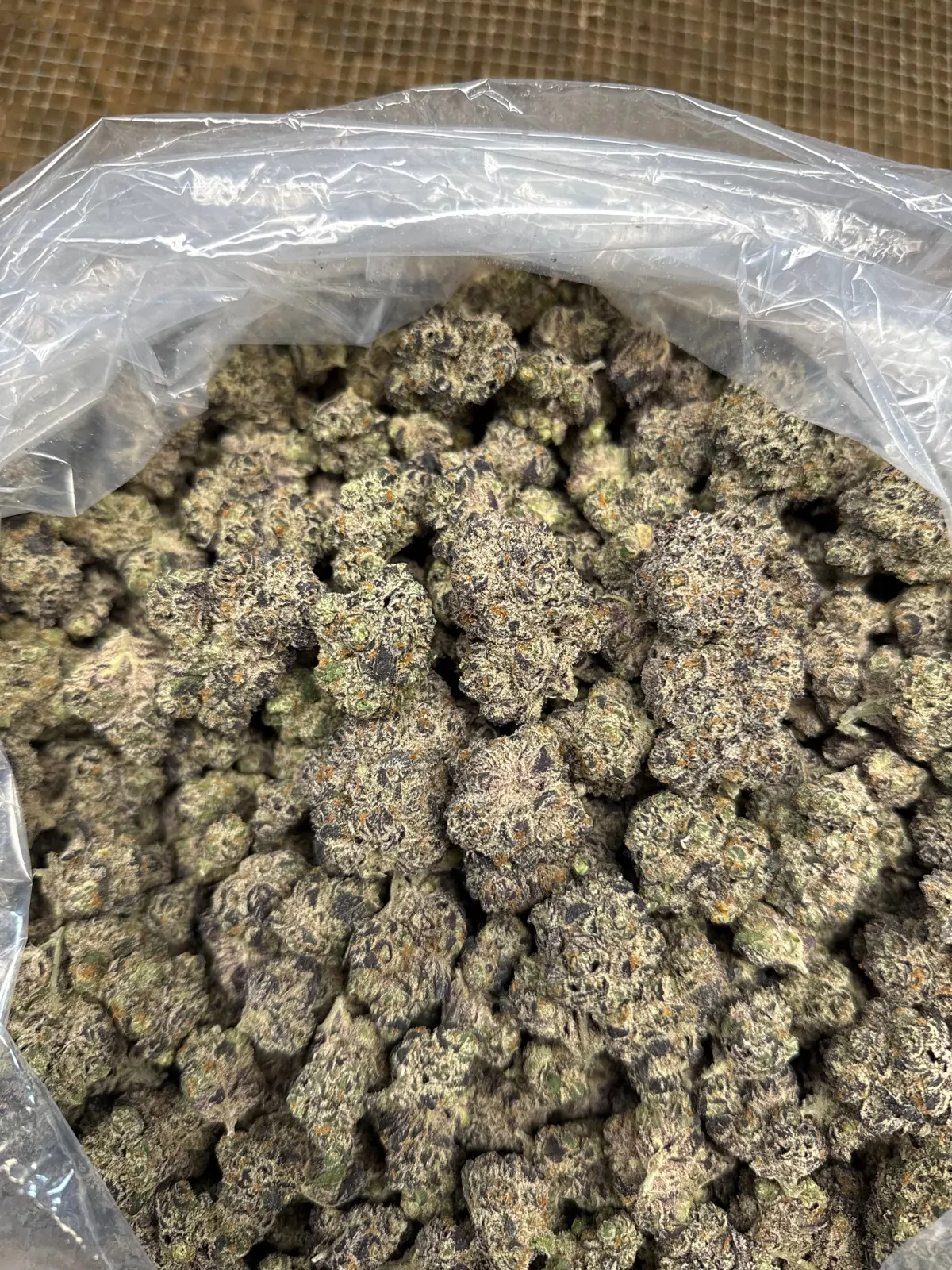 Strawberry Guava Flower